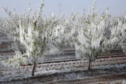 Bursa Valiliği'nden son dakika uyarısı!