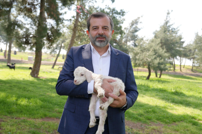 GÜRSU BUTİK HAYVANAT BAHÇESİ YENİ SAKİNLERİNİ AĞIRLIYOR