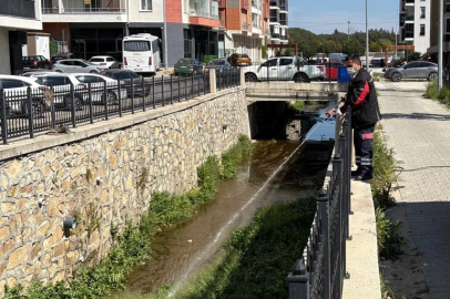 Haşereye karşı larvasit çözüm