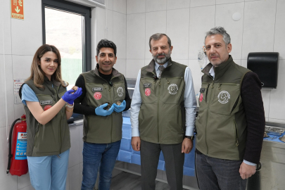 GÜRSU’NUN SÜT ANNE KEDİSİ SOSYAL MEDYAYI SALLADI