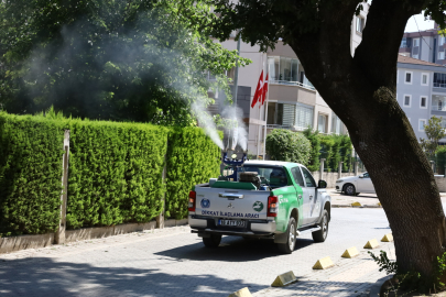 Gözler Bursa Büyükşehir Belediyesi Tarım A.Ş.'de