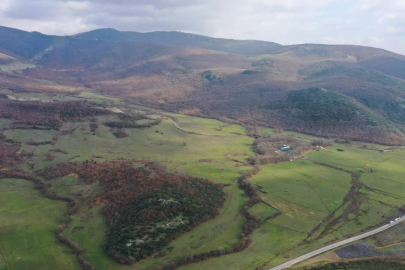 Yenişehir Burcun'a Yapılması Planlanan Çimento Fabrikasına Yargı Freni: ÇED Olumlu Kararı İptal Edildi