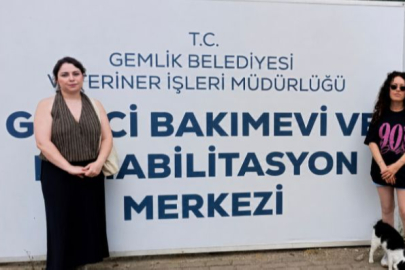 Bursa Hayvan Hakları Platformu’ndan Gemlik Belediyesi’ne Barınak Tepkisi