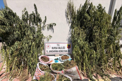 KARACABEY’DE JANDARMADAN UYUŞTURUCU OPERASYONU: 22 KİLODAN FAZLA ESRAR ELE GEÇİRİLDİ